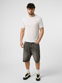 Футболки и поло The North Face M FOUNDATION MOUNT SS TEE модель NF0A8HEYFN41 Фото