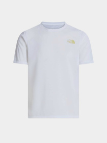 The North Face модель NF0A8HEYFN41 Фото