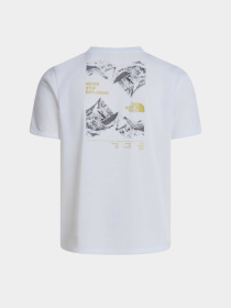 Футболка The North Face M FOUNDATION MOUNT SS TEE модель NF0A8HEYFN41 Футболка The North Face M FOUNDATION MOUNT SS TEE модель NF0A8HEYFN41 Фото
