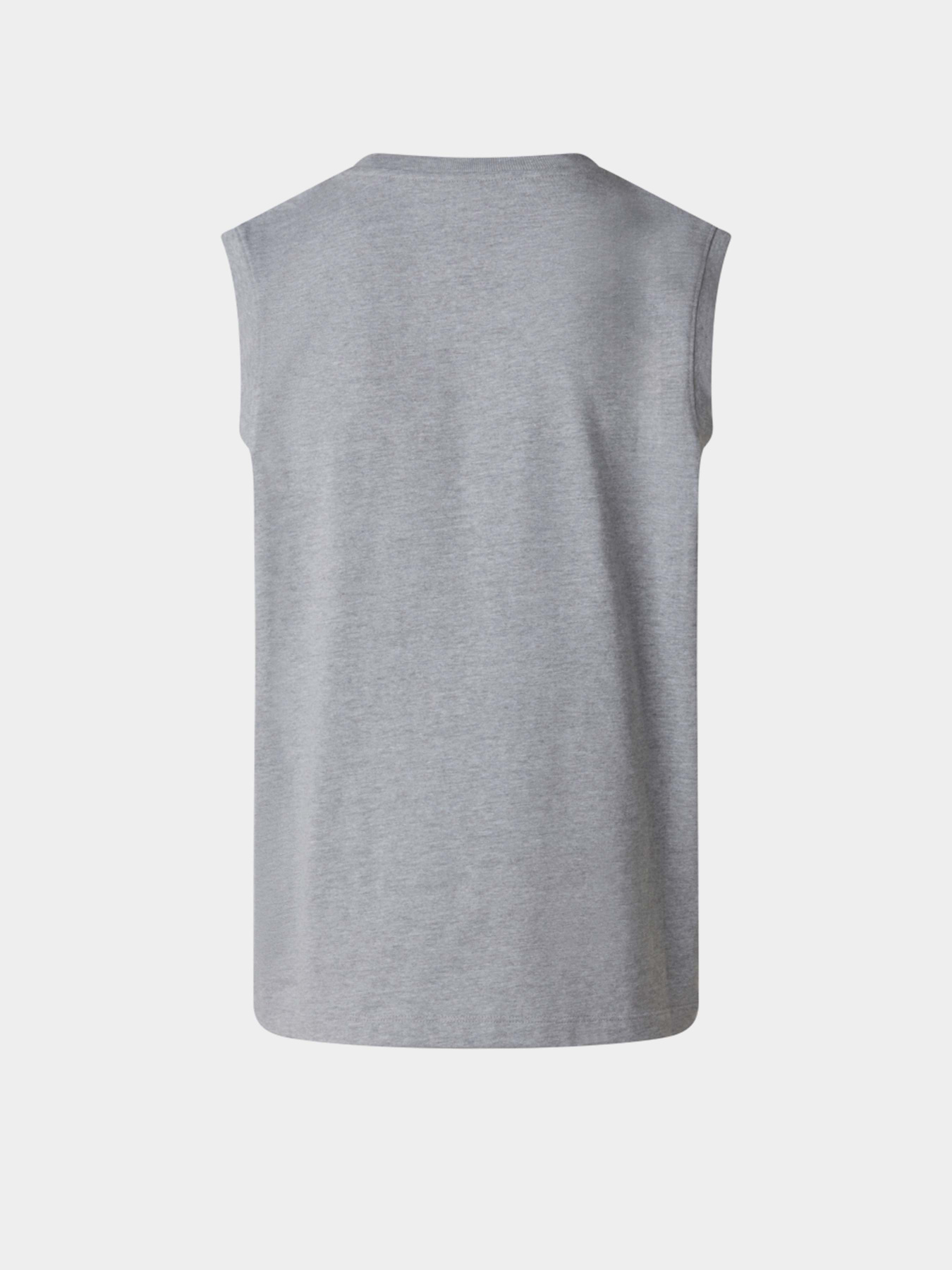 Футболки и поло The North Face M EVOLUTION SIMPLE DOME TANK модель NF0A8FD4CQO1 Фото