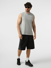 Футболки и поло The North Face M EVOLUTION SIMPLE DOME TANK модель NF0A8FD4CQO1 Фото