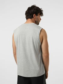 Футболки и поло The North Face M EVOLUTION SIMPLE DOME TANK модель NF0A8FD4CQO1 Фото