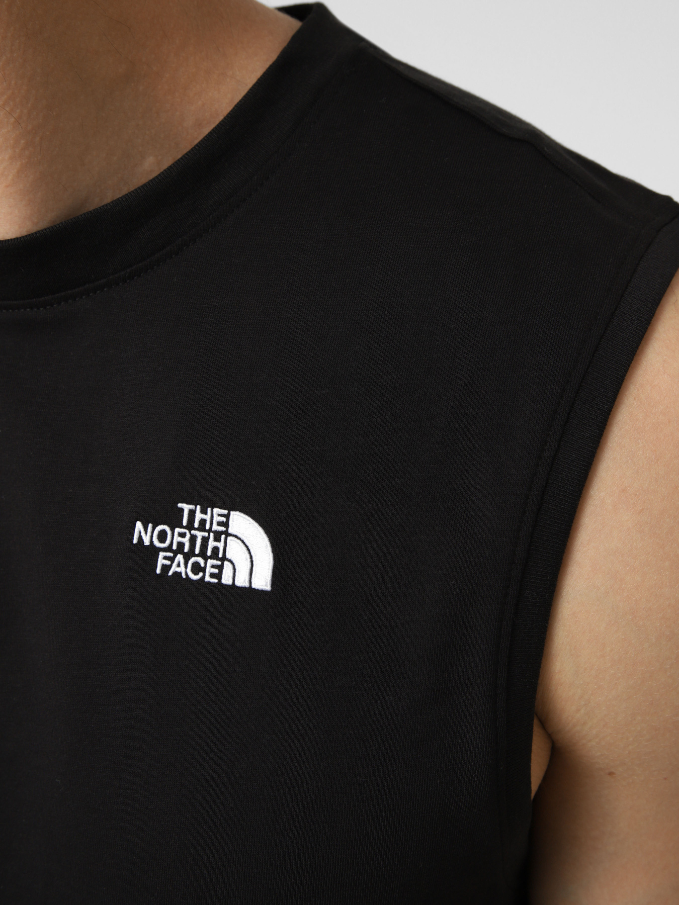 Футболки и поло The North Face M EVOLUTION SIMPLE DOME TANK модель NF0A8FD4JK31 Фото