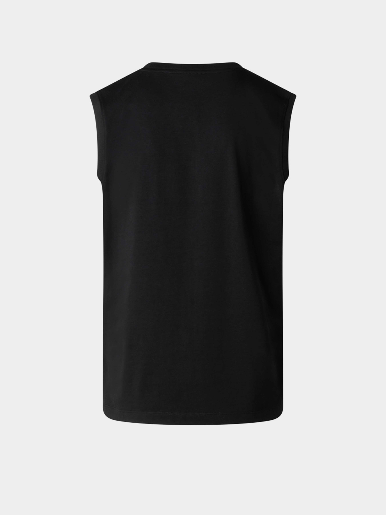 Футболки и поло The North Face M EVOLUTION SIMPLE DOME TANK модель NF0A8FD4JK31 Фото