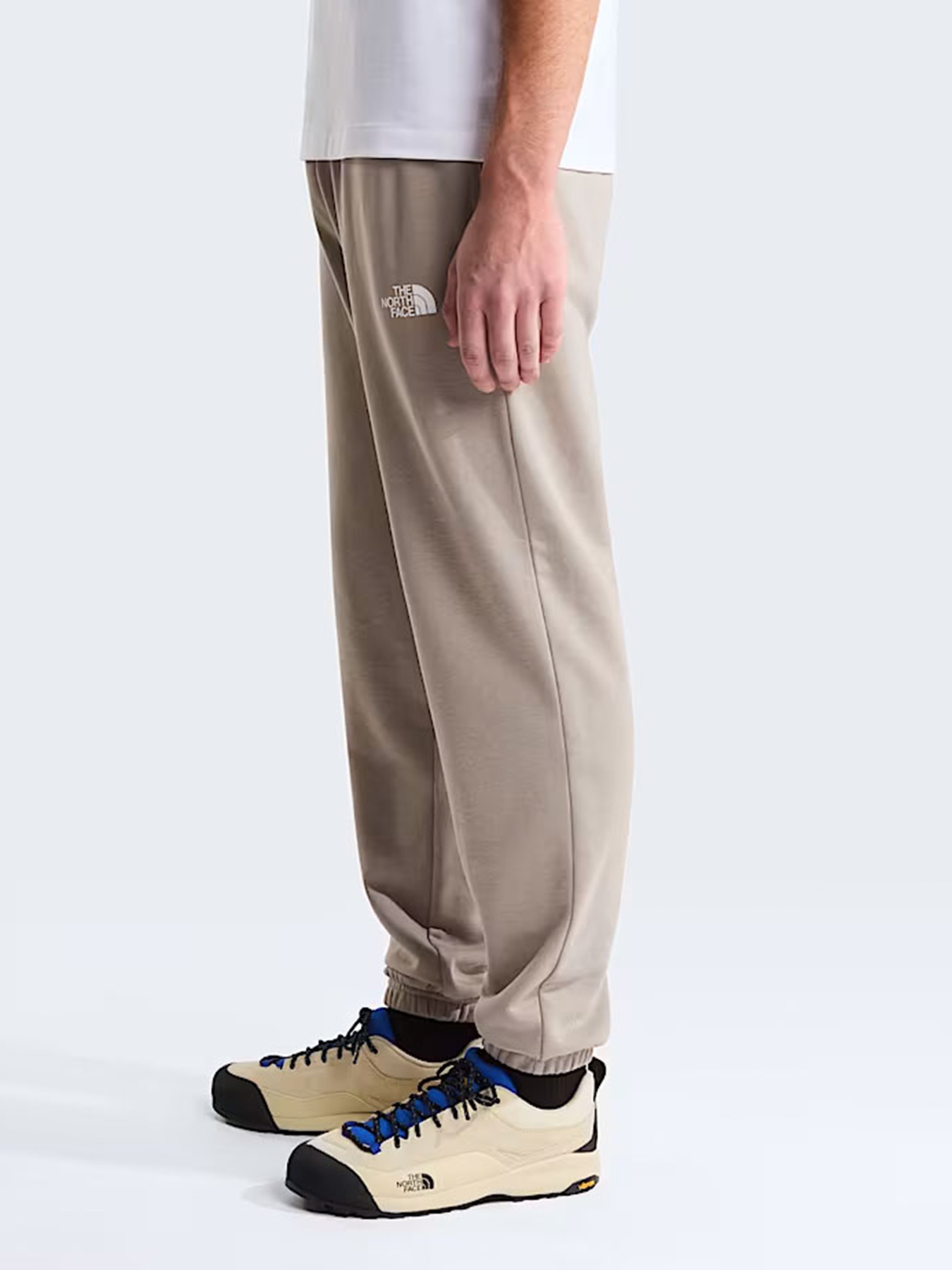 Джогери The North Face M SIMPLE DOME LIGHT REGULAR TA модель NF0A8C412MB1 Фото