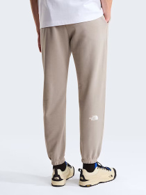 Джогери The North Face M SIMPLE DOME LIGHT REGULAR TA модель NF0A8C412MB1 Фото