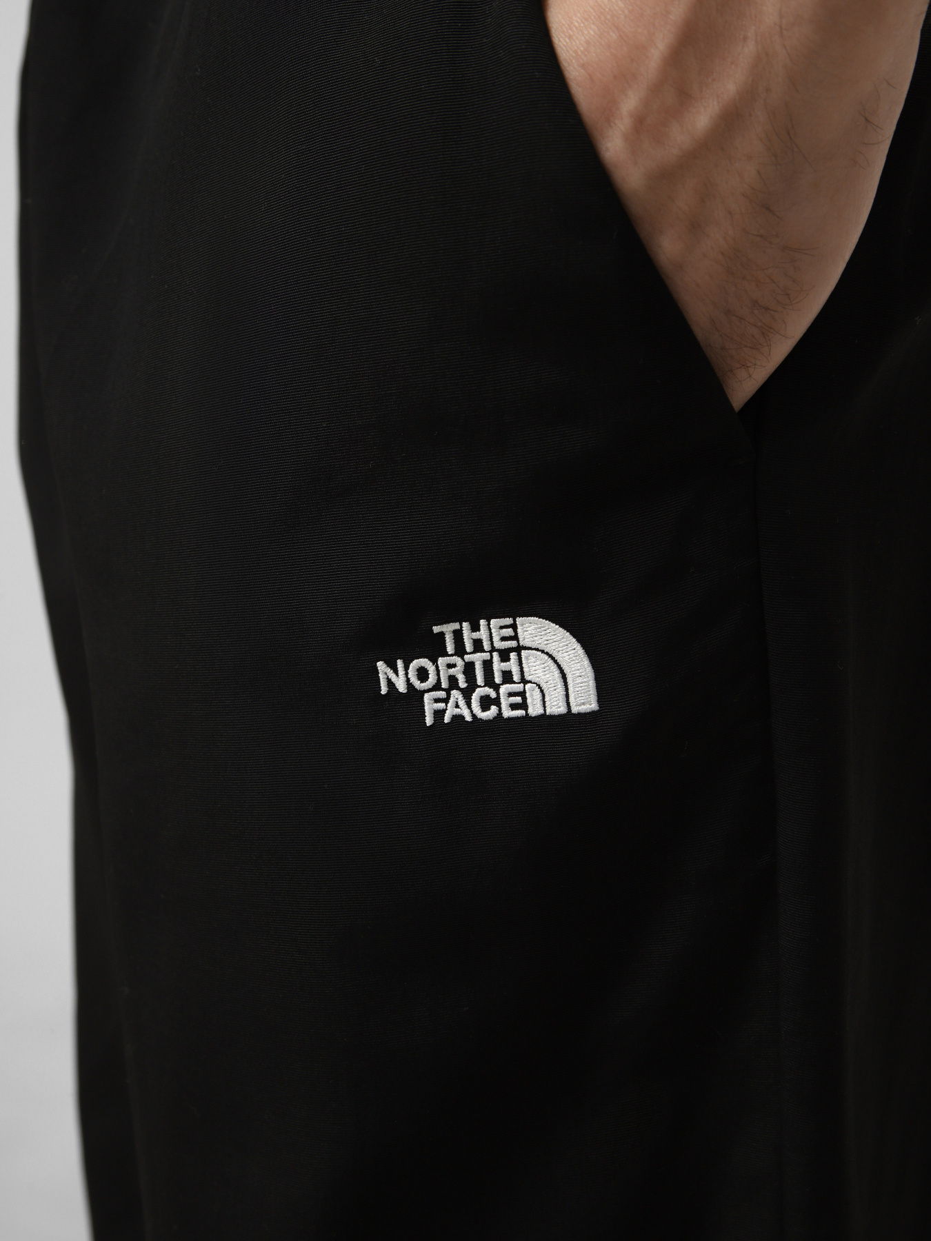 Джоггеры The North Face M TNF EASY WIND PANT модель NF0A8FBMJK31 Фото