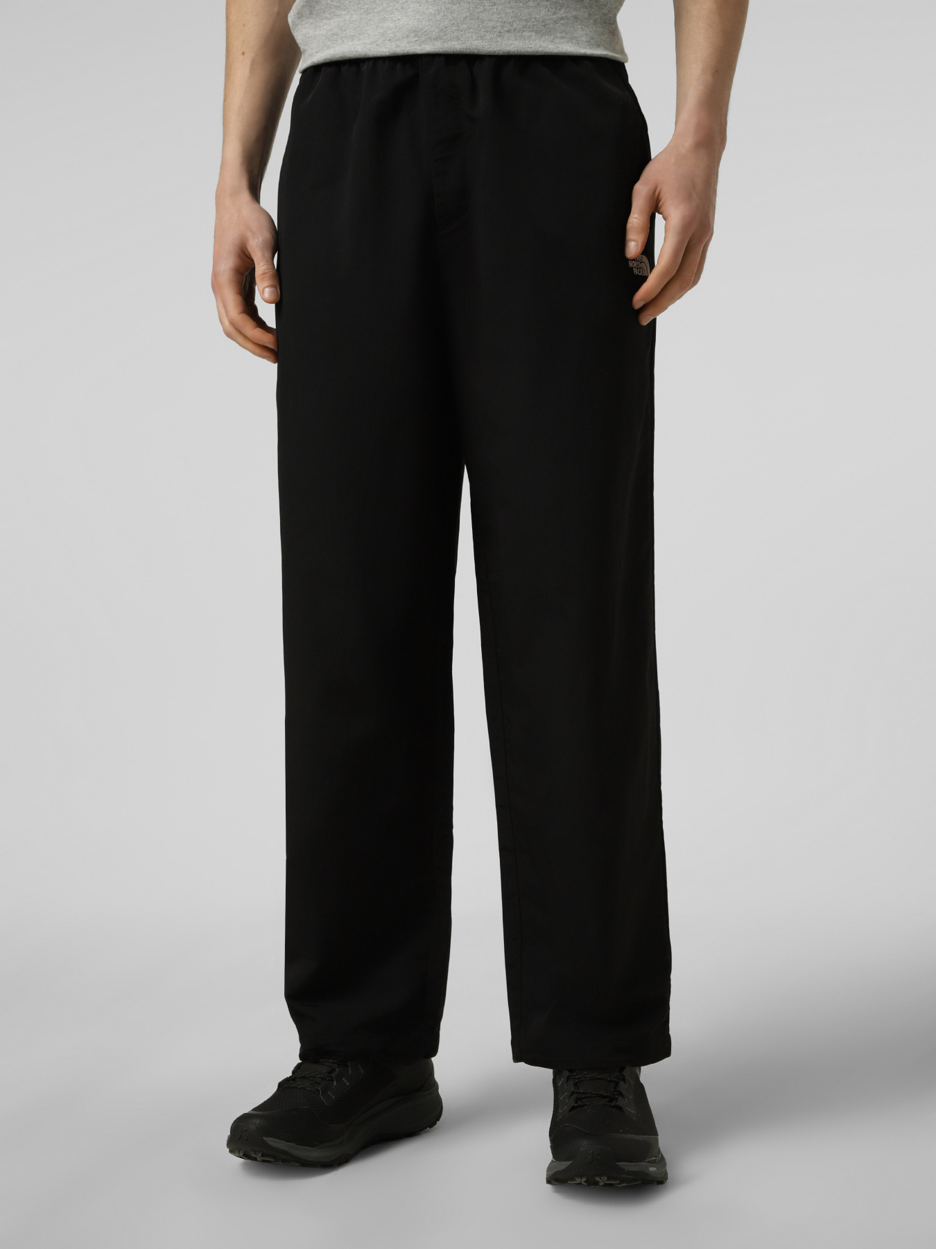 Джоггеры The North Face M TNF EASY WIND PANT модель NF0A8FBMJK31 Фото