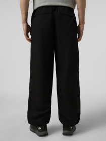 Джоггеры The North Face M TNF EASY WIND PANT модель NF0A8FBMJK31 Фото