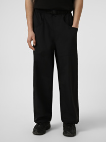 Джогери The North Face M TNF RED BOX NYLON BELTED PAN модель NF0A8FHFJK31 Фото