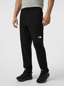 Штани The North Face M 24/7 WOVEN JOGGER модель NF0A8FJHJK31 Фото