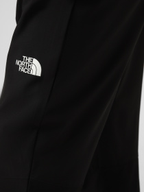 Брюки The North Face M MOUNTAIN ATHLETICS USHBA PAN модель NF0A8G8FJK31 Фото