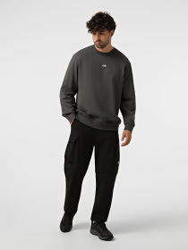 Брюки The North Face M TRAVEL KOSH PANTS модель NF0A8HFKJK31 Фото