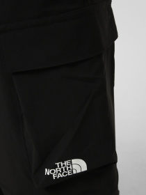 Брюки The North Face M TRAVEL KOSH PANTS модель NF0A8HFKJK31 Фото