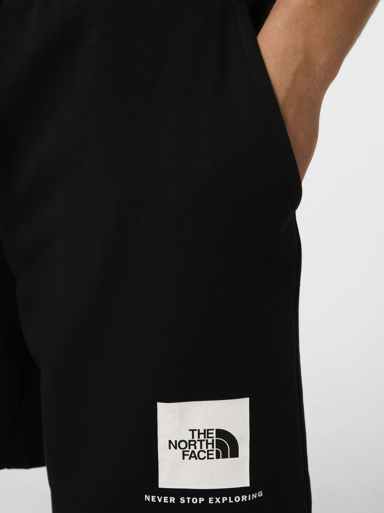 Шорти The North Face M BOX NSE LIGHT REGULAR SHORTS модель NF0A8GQ8JK31 Шорти The North Face M BOX NSE LIGHT REGULAR SHORTS модель NF0A8GQ8JK31 Фото