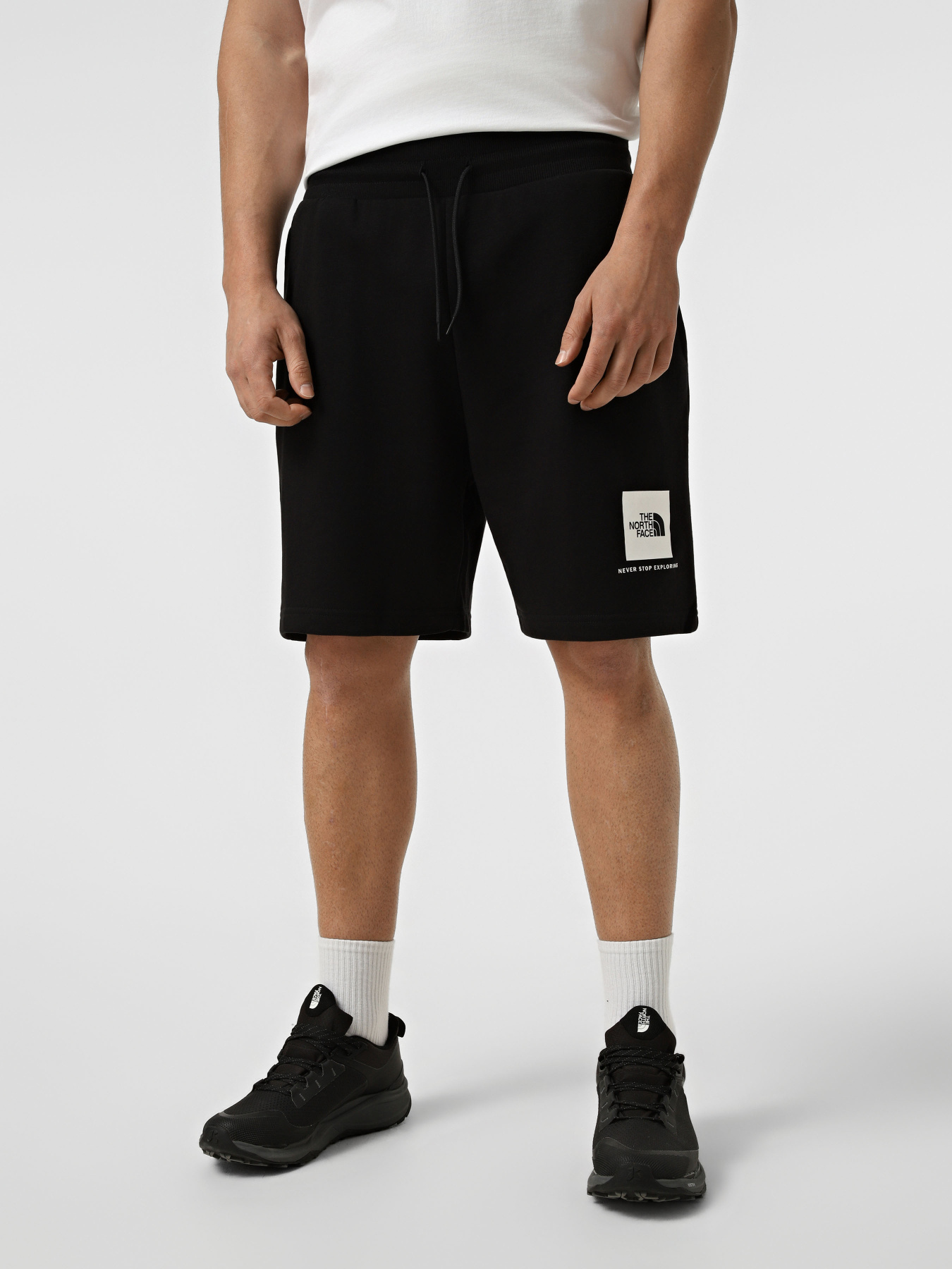 Шорти The North Face M BOX NSE LIGHT REGULAR SHORTS модель NF0A8GQ8JK31 Шорти The North Face M BOX NSE LIGHT REGULAR SHORTS модель NF0A8GQ8JK31 Фото