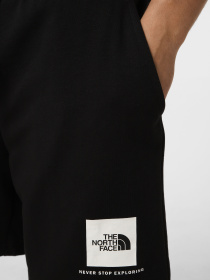 Шорти The North Face M BOX NSE LIGHT REGULAR SHORTS модель NF0A8GQ8JK31 Фото