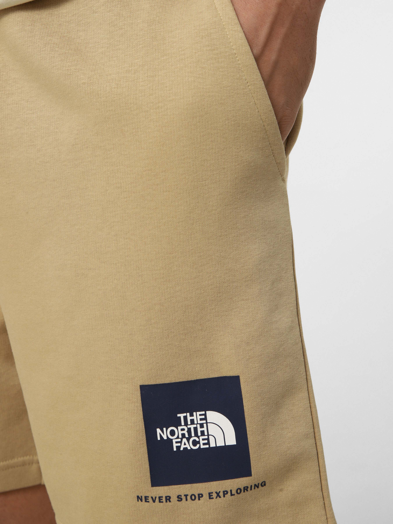 Шорты The North Face M BOX NSE LIGHT REGULAR SHORTS модель NF0A8GQ8LK51 Шорты The North Face M BOX NSE LIGHT REGULAR SHORTS модель NF0A8GQ8LK51 Фото