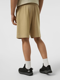 Шорты The North Face M BOX NSE LIGHT REGULAR SHORTS модель NF0A8GQ8LK51 Фото