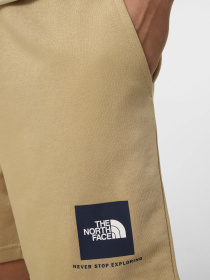 Шорты The North Face M BOX NSE LIGHT REGULAR SHORTS модель NF0A8GQ8LK51 Фото