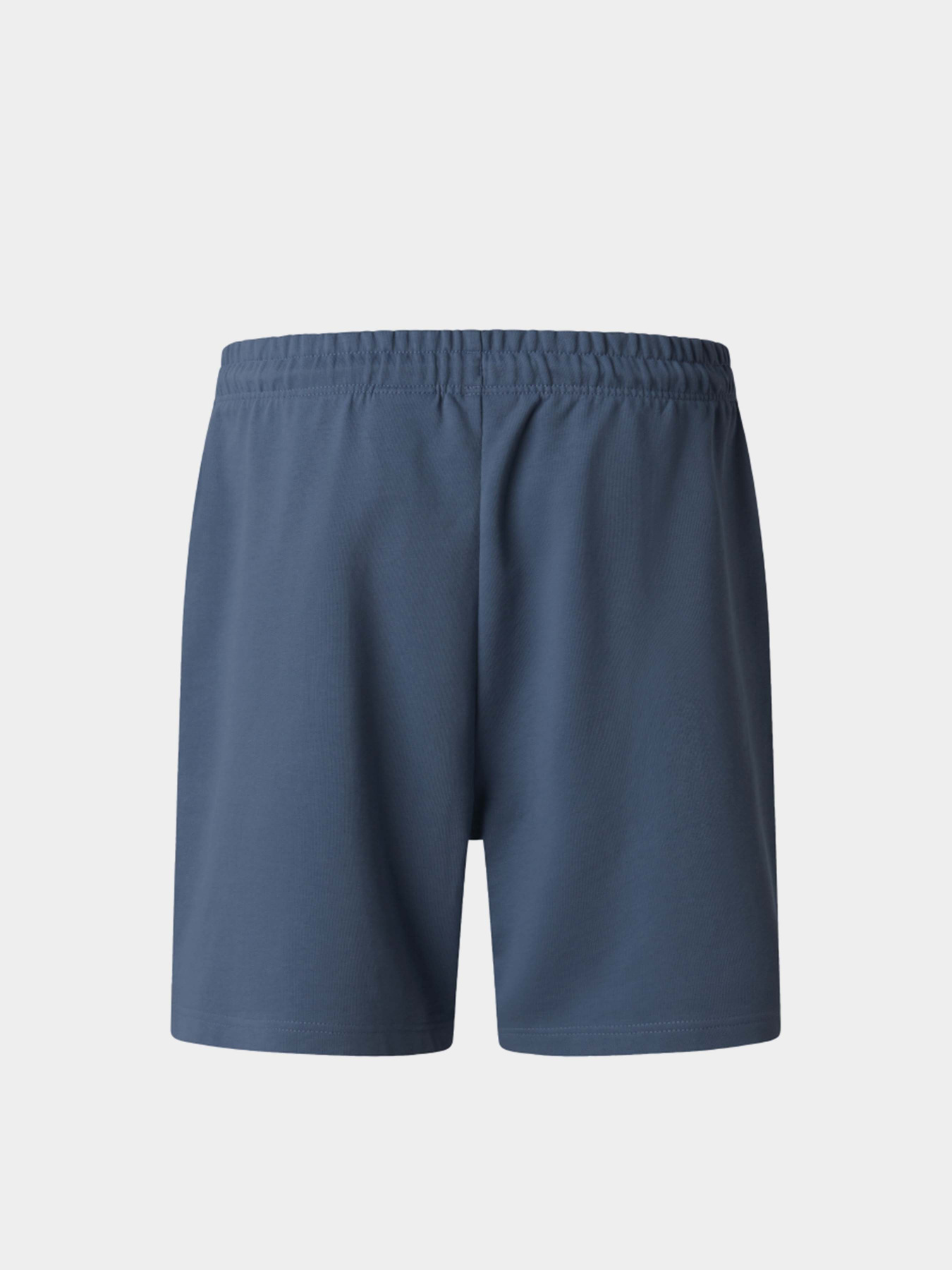 Шорти The North Face M ESSENTIAL LIGHT RELAXED SHOR модель NF0A8GQ90U31 Фото
