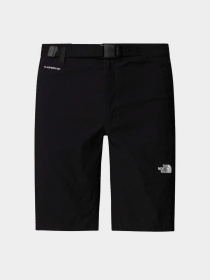 Шорты The North Face M LIGHTNING SHORT - EU модель NF0A495O4H01 Фото
