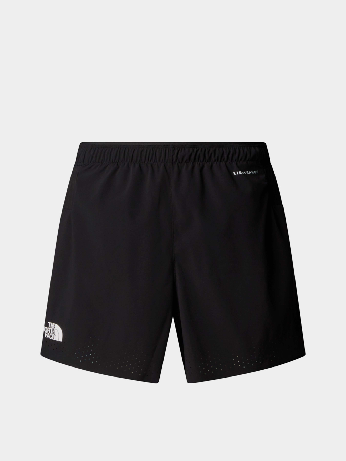 Шорты The North Face M SUMMIT PACESETTER 5IN SHORT модель NF0A8BB4JK31 Фото
