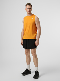 Шорты The North Face M SUMMIT PACESETTER 5IN SHORT модель NF0A8BB4JK31 Фото