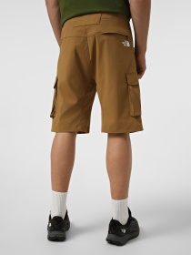 Шорты The North Face M EXPLORATION CARGO SHORTS модель NF0A8EC71731 Фото