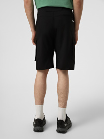 Шорты The North Face M EXPLORATION CARGO SHORTS модель NF0A8EC7JK31 Фото