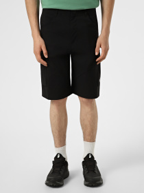Шорты The North Face M EXPLORATION CARGO SHORTS модель NF0A8EC7JK31 Фото