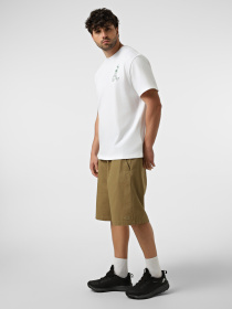 Шорты The North Face M BAGGY BETA SHORTS модель NF0A8G0A2EL1 Фото