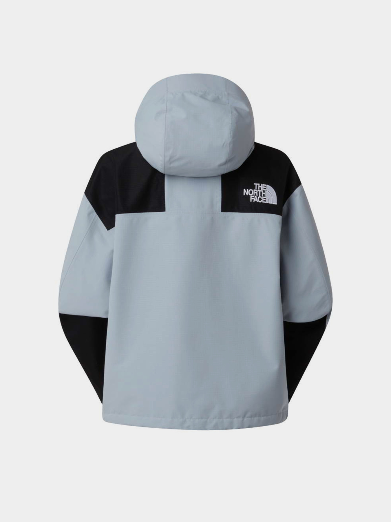 Вітровка The North Face W DRYVENT MONO MOUNTAIN JACKET модель NF0A88YXGG91 Фото