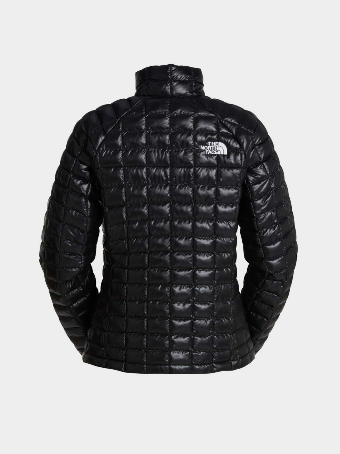 The North Face модель NF0A8D3SJK31 Фото