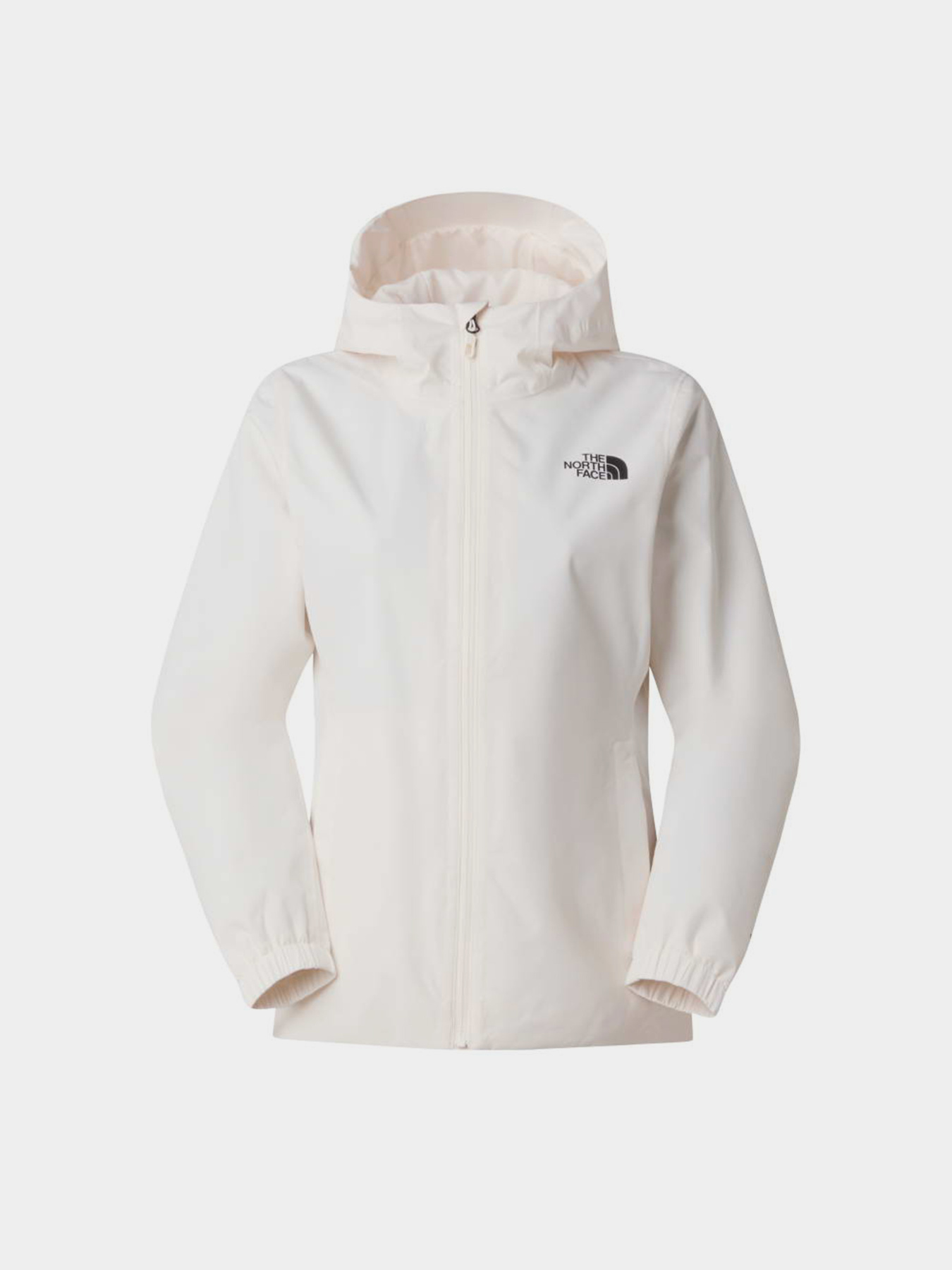 The North Face NF0A8G12QLI1 модель NF0A8G12QLI1 Фото