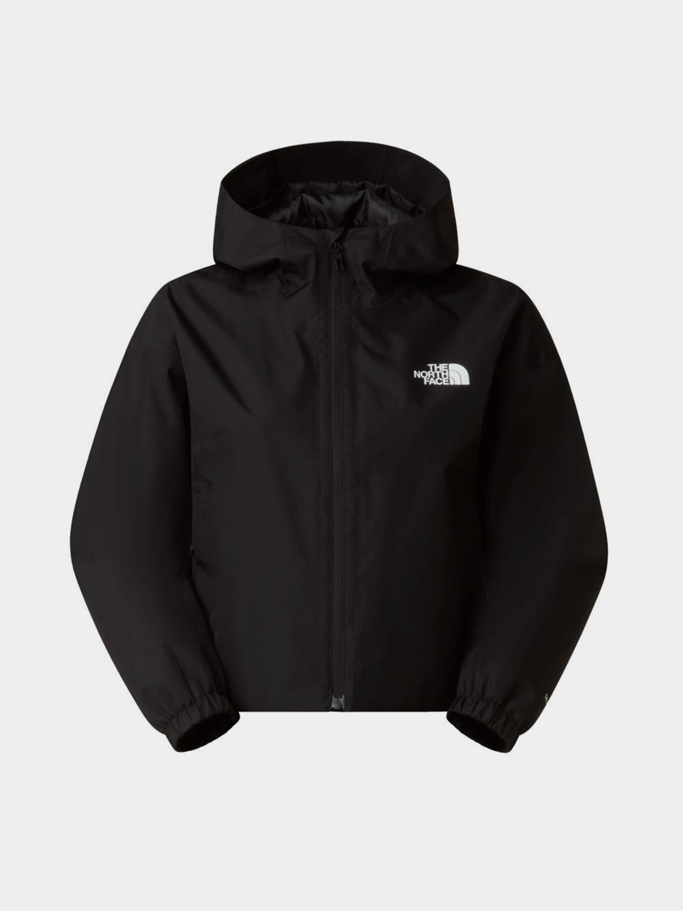 The North Face NF0A8G13JK31 модель NF0A8G13JK31 Фото