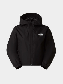 The North Face NF0A8G13JK31 модель NF0A8G13JK31 Фото