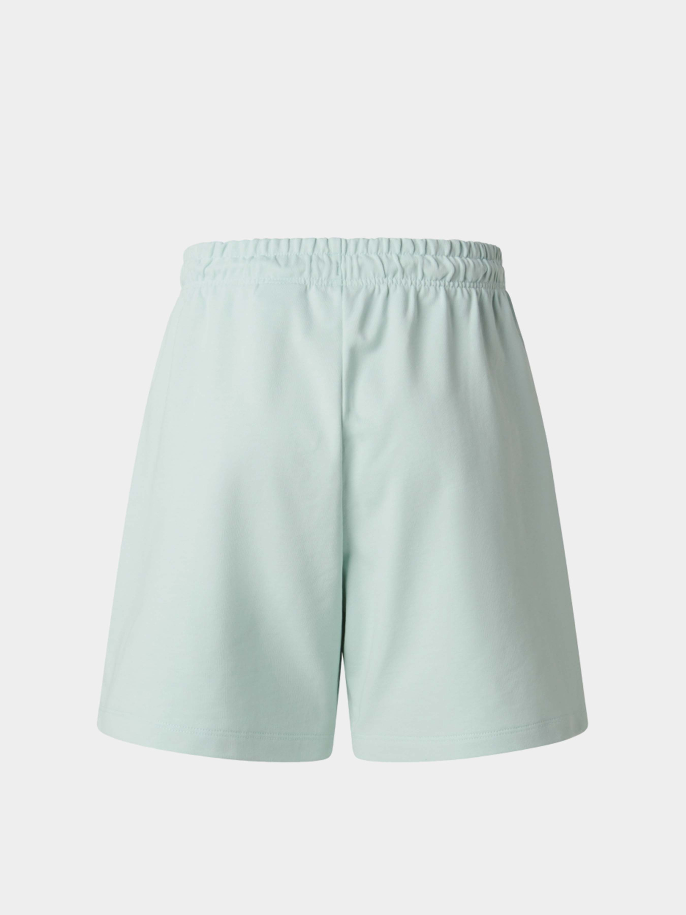 Шорти The North Face W ESSENTIAL LIGHT RELAXED SHOR модель NF0A8GQYG701 Фото
