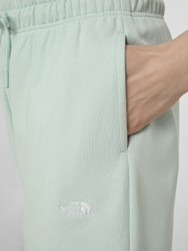 Шорти The North Face W ESSENTIAL LIGHT RELAXED SHOR модель NF0A8GQYG701 Фото