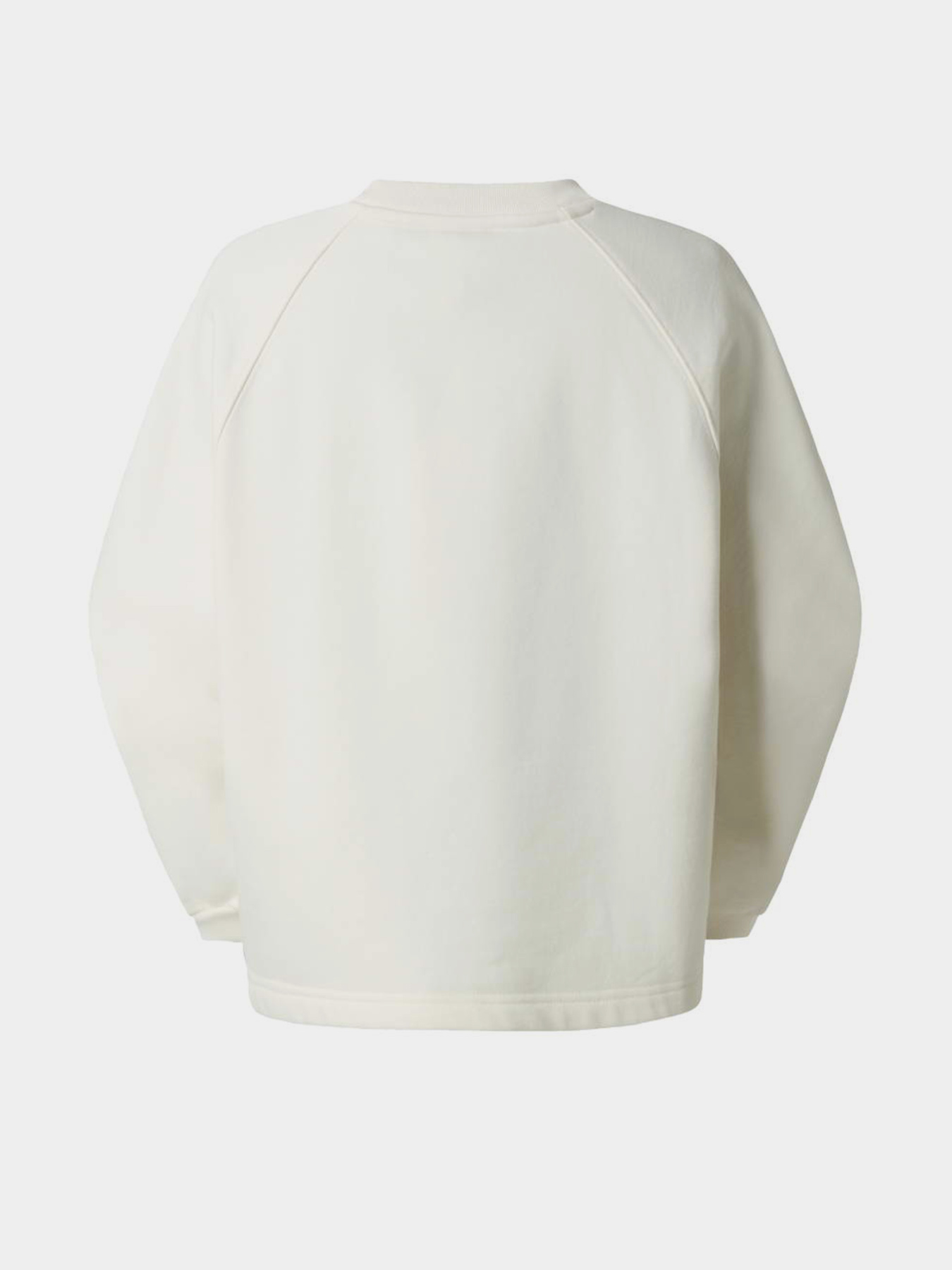 The North Face NF0A8EFYQLI1 модель NF0A8EFYQLI1 Фото