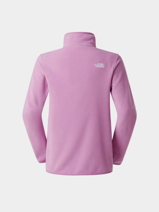 Худи и свитшоты The North Face W GLACIER FLEECE 1/4 ZIP JACKE модель NF0A8D2JG6E1 Фото