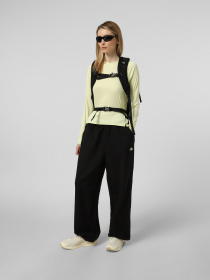 Спортивная кофта The North Face W SUNRISER HOODIE модель NF0A8BN9G6O1 Фото