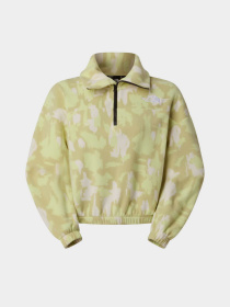 The North Face модель NF0A8E30MKO1 Фото