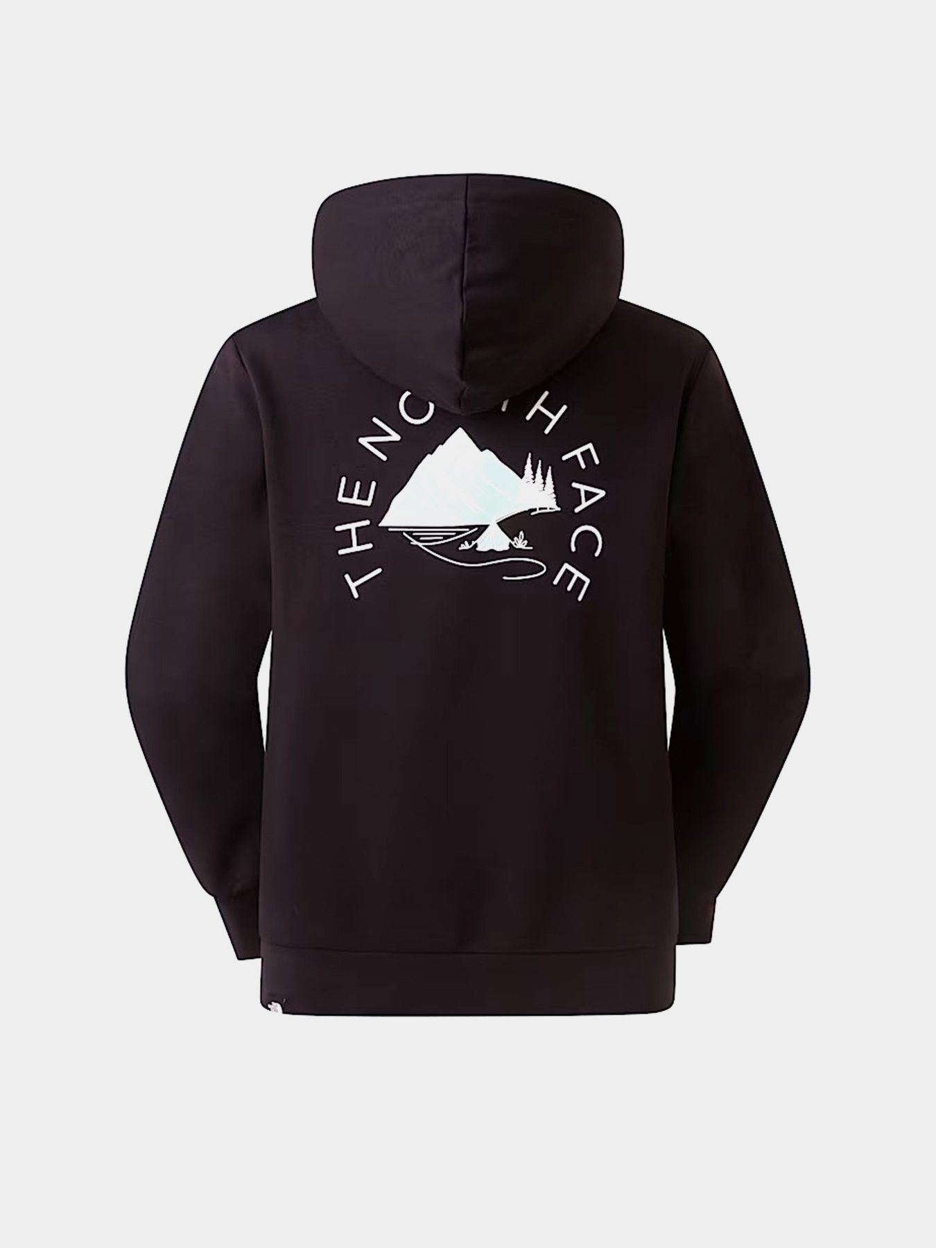 Худи The North Face W MONTE REGULAR HOODIE-GRAPHIC модель NF0A8GAAJK31 Фото