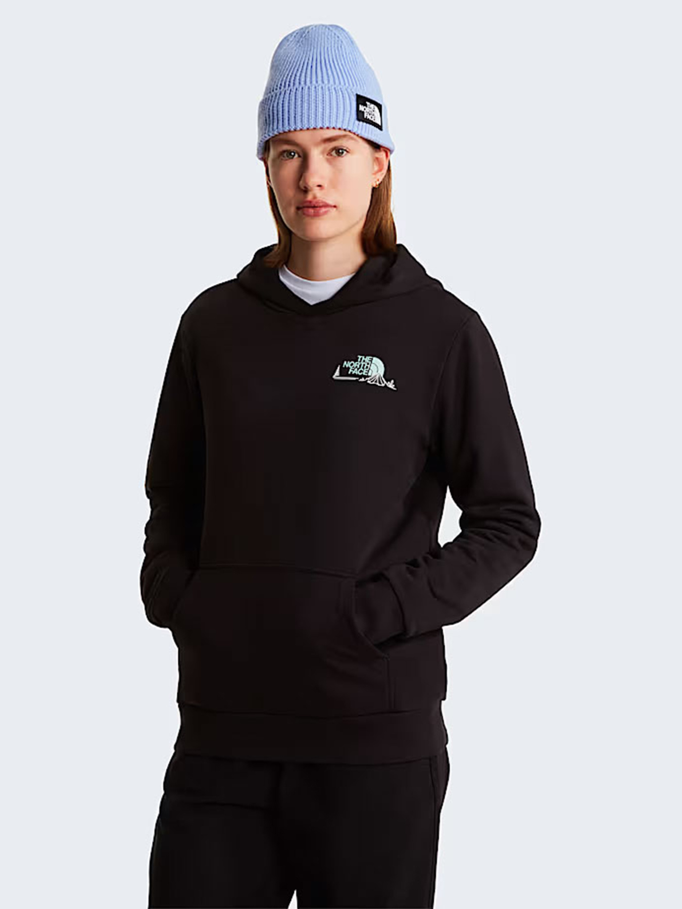 Худи The North Face W MONTE REGULAR HOODIE-GRAPHIC модель NF0A8GAAJK31 Фото