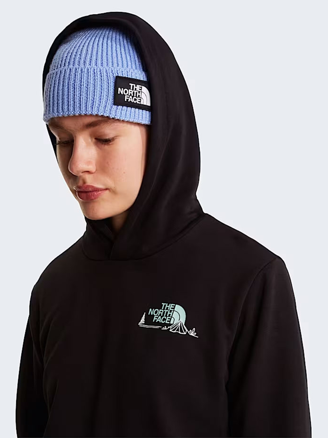 Худи The North Face W MONTE REGULAR HOODIE-GRAPHIC модель NF0A8GAAJK31 Худи The North Face W MONTE REGULAR HOODIE-GRAPHIC модель NF0A8GAAJK31 Фото
