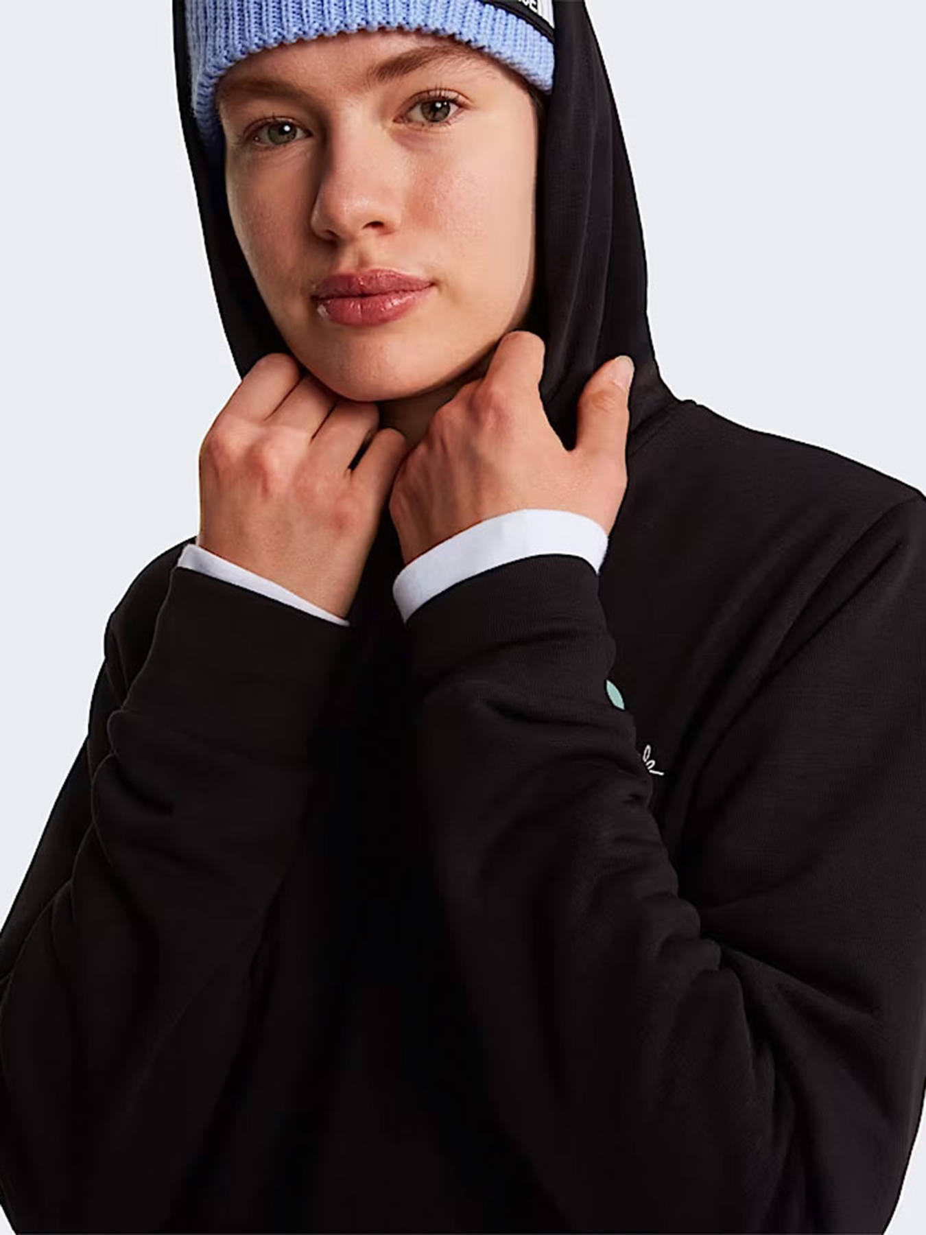 Худи The North Face W MONTE REGULAR HOODIE-GRAPHIC модель NF0A8GAAJK31 Худи The North Face W MONTE REGULAR HOODIE-GRAPHIC модель NF0A8GAAJK31 Фото