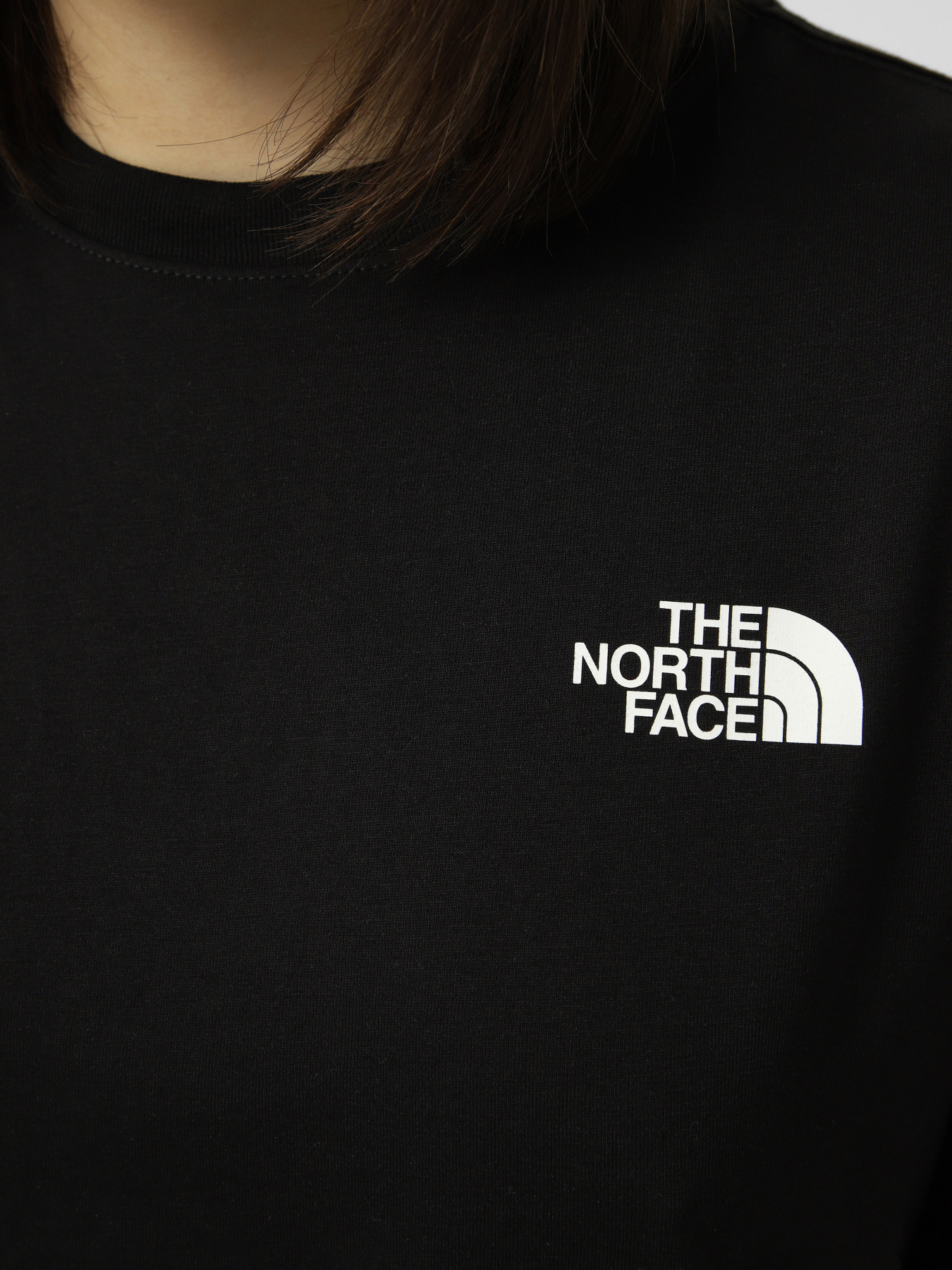 The North Face модель NF0A8B6WKY41 Фото