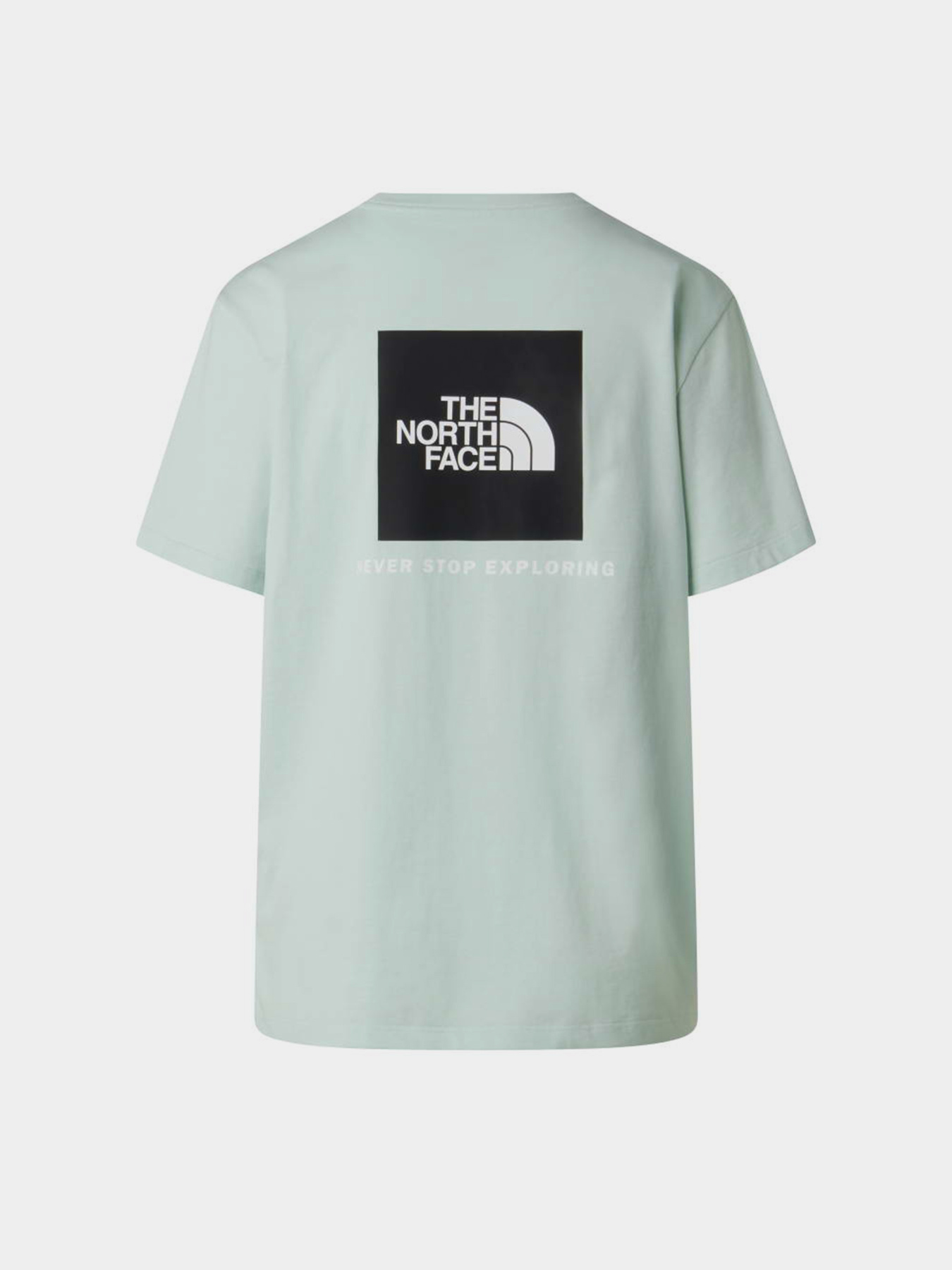 The North Face модель NF0A8B6WG701 Фото