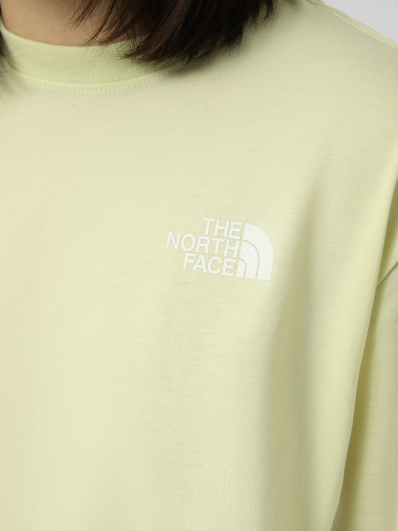 Футболки и поло The North Face W EVOLUTION BOX NSE RELAXED SH модель NF0A8B6WG6O1 Фото